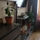 review photo № 7
