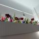 review photo № 3