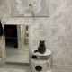 review photo № 5