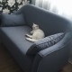review photo № 4