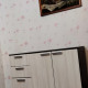 review preview photo № 0