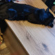 review photo № 3