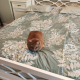 review photo № 0