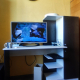 review preview photo № 0