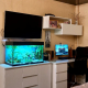 review photo № 4