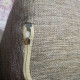 review photo № 7