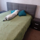 review photo № 1