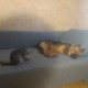 review photo № 6