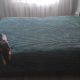 review photo № 6