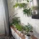 review photo № 4