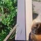 review photo № 1