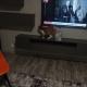 review photo № 4