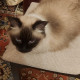 review photo № 2