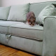 review photo № 0