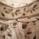 review photo № 1